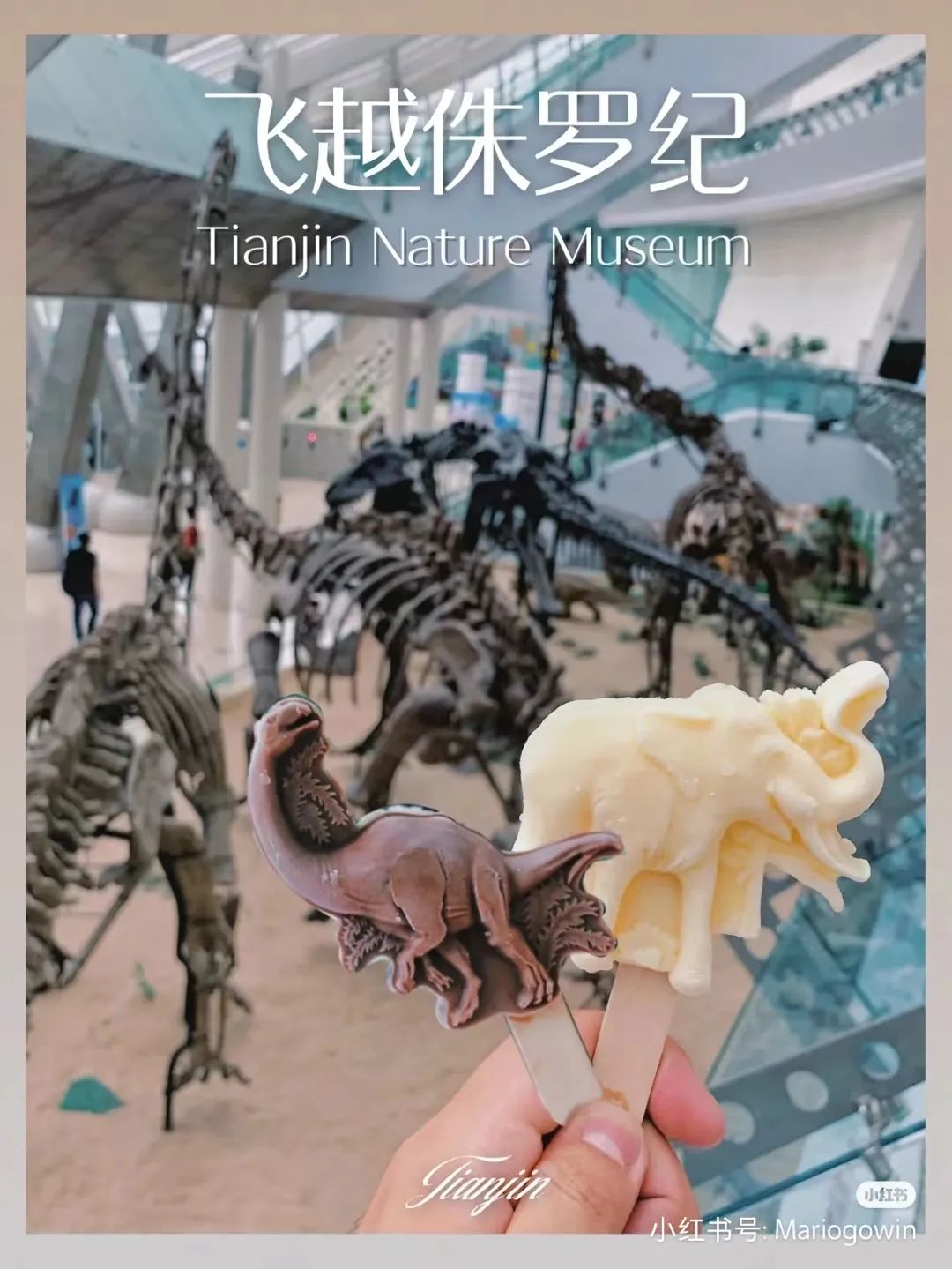 天津遛娃好地方,天津遛娃的免费公园