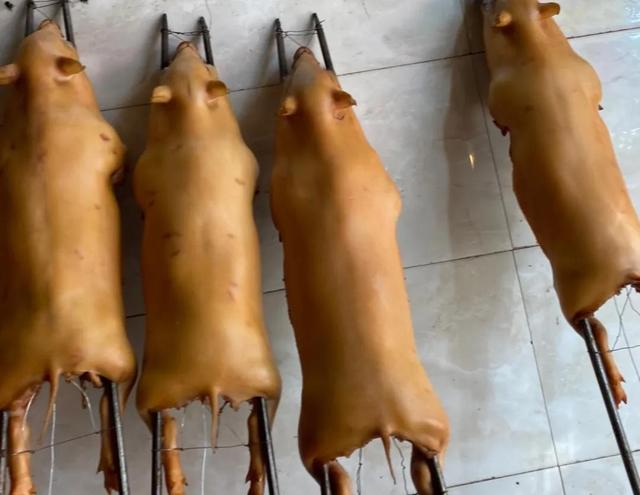 海南脆皮烧猪四十斤左右批发,在海南700元一只烤乳猪