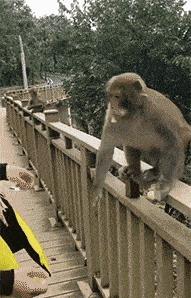 老师上课忘记关投影仪了,女老师上课期间忘记关投影仪