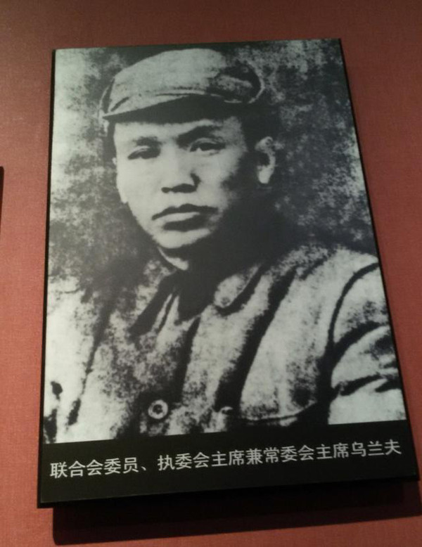 民族区域自治给内蒙古带来了什么,民族区域自治制度促进内蒙古发展