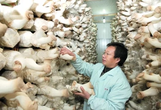 20个冷门专业,这5个专业很冷门