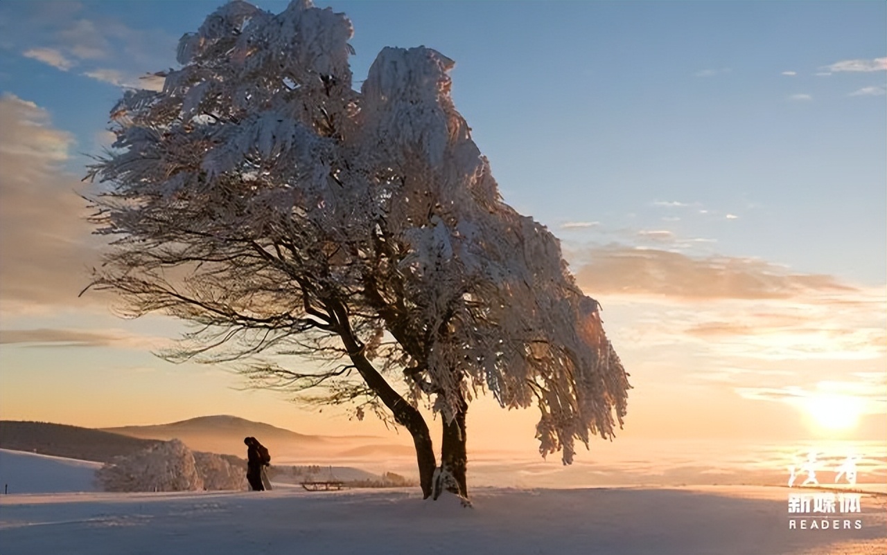 爸爸出轨了我会痛恨妈妈吗,爸爸出轨了还会痛恨妈妈