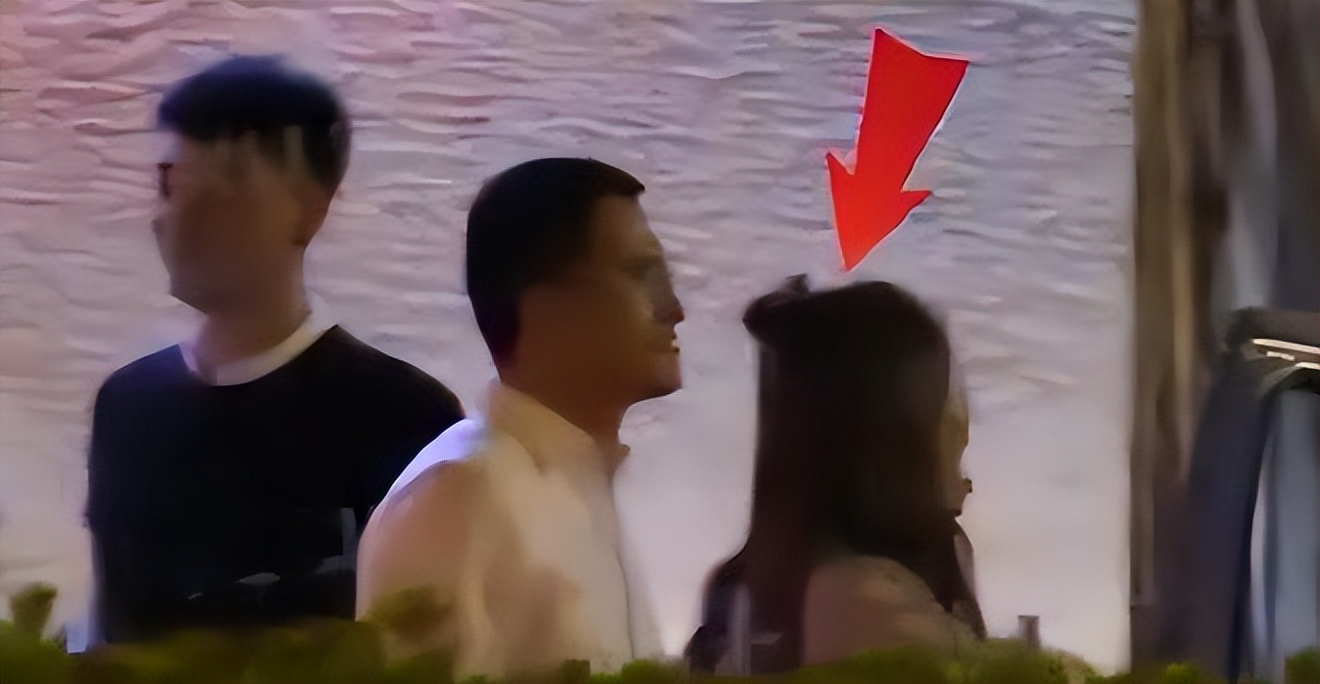 从爆红到无人问津苏醒,何洁当时的事业陷入了低迷期