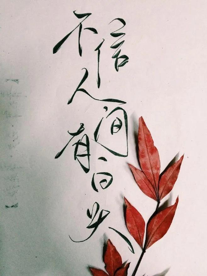 我在热火朝天的工地搬砖 (工地搬砖的我的生活)