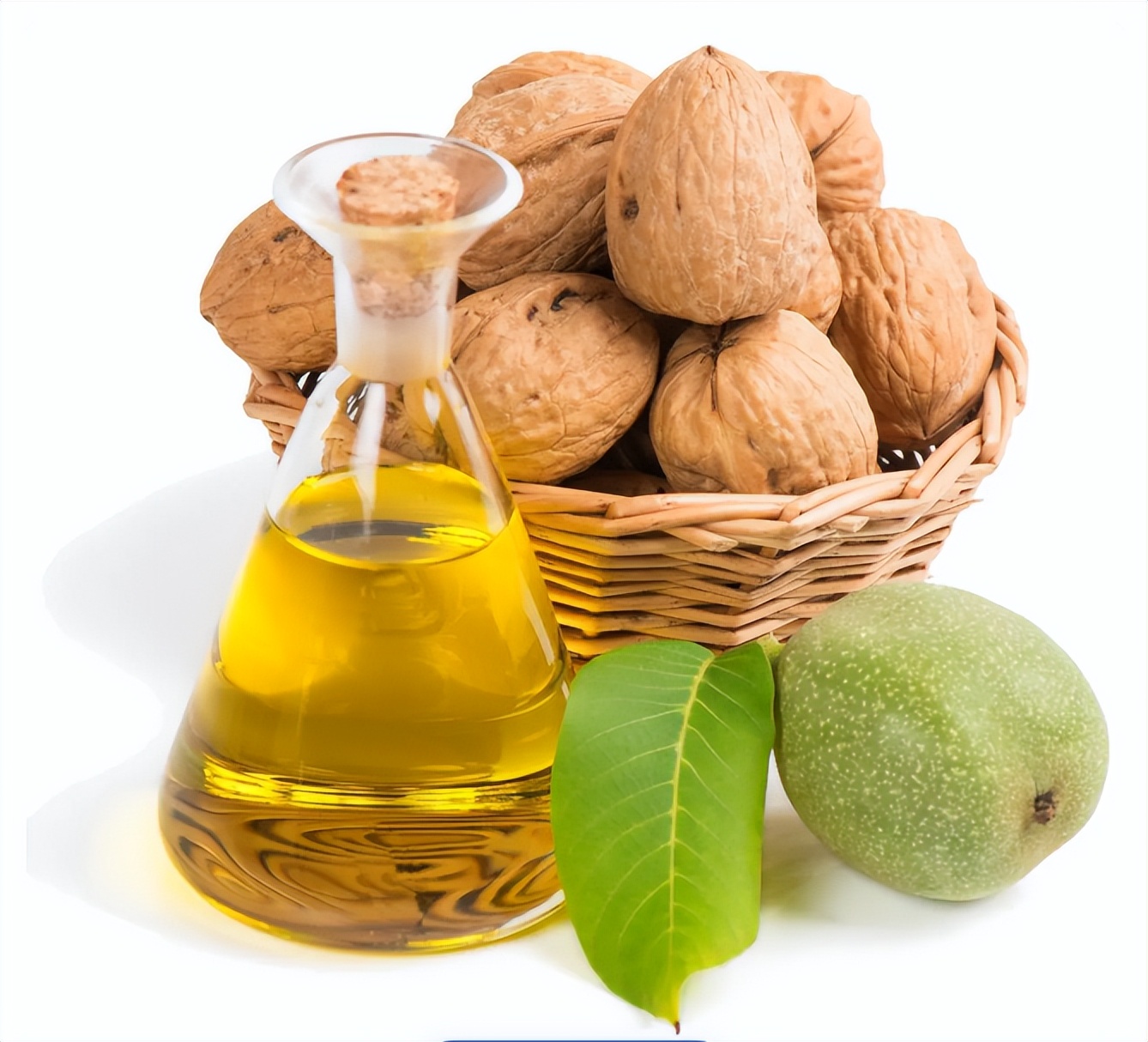 核桃油的专业知识书籍,关于核桃油