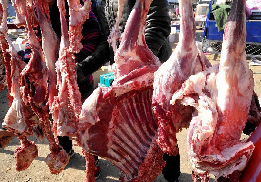 冷冻肉牛17块钱一斤,全国活羊活牛价格最新行情