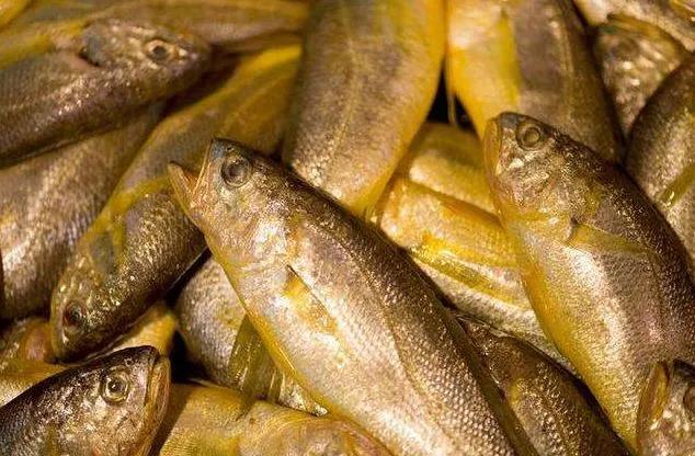 海鲜鱼类排行榜前十名,最便宜的20种海鲜是什么鱼类