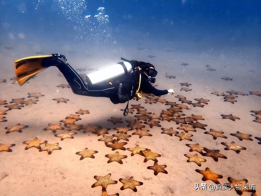 我，90后妹子，到澳洲矿区做后勤，月薪5万，但得刷男厕小便池