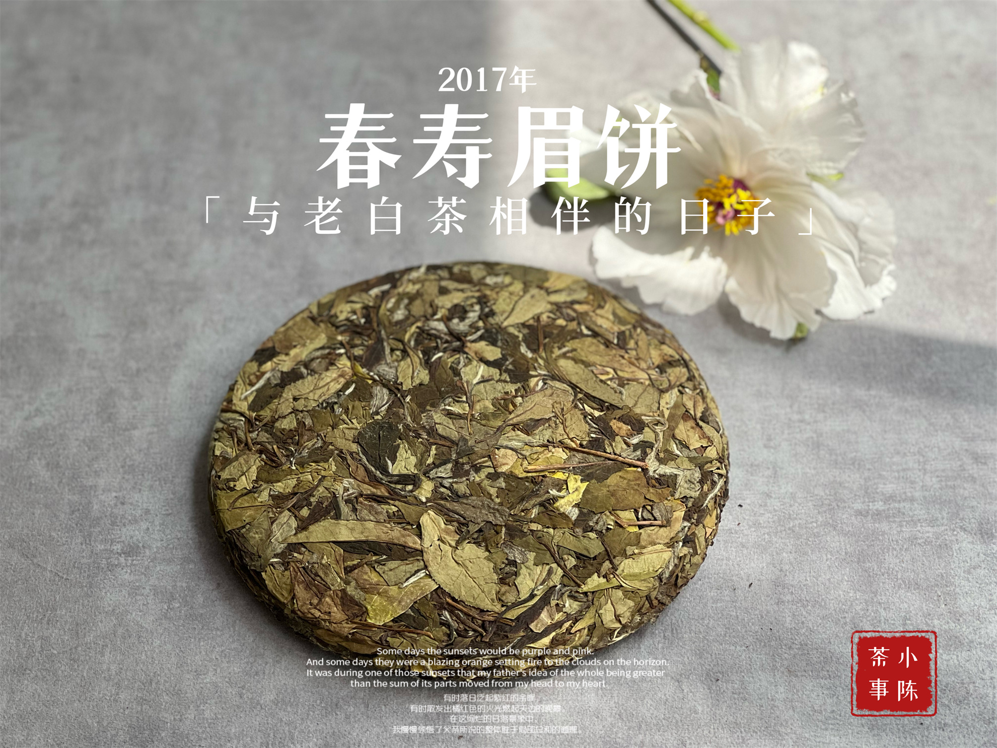 白茶散茶和饼茶哪个适合长期存 (白茶如何存放成老茶)
