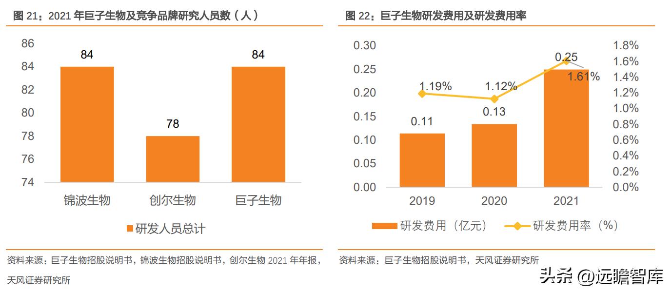 巨子生物重组胶原蛋白,巨子生物三型胶原蛋白获批