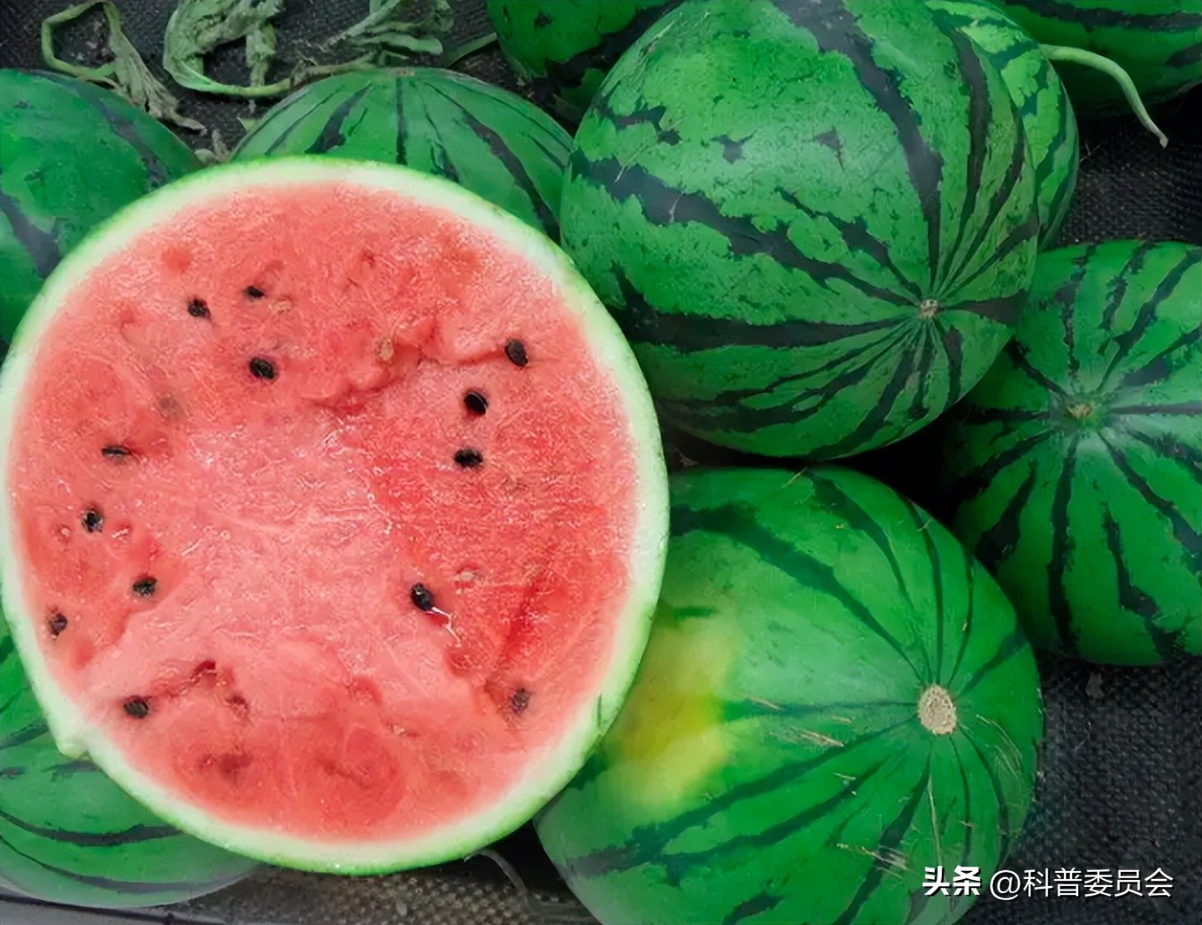 中医养生餐桌上的中药,健康养生小知识中药