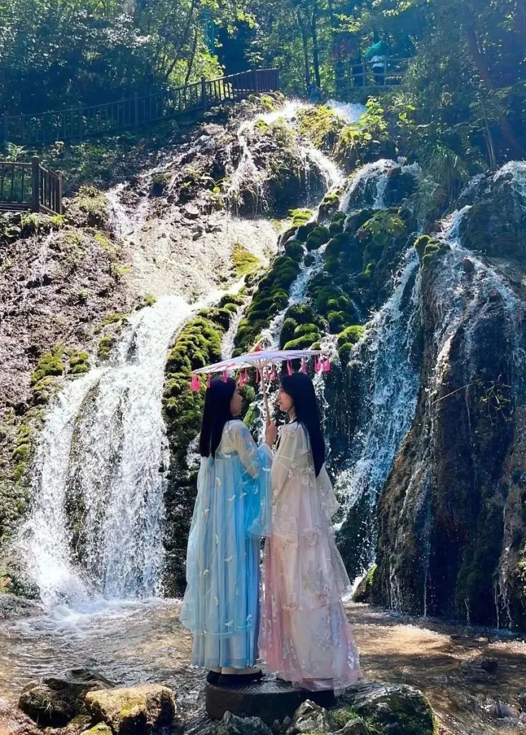 半价门票,景区免票半价