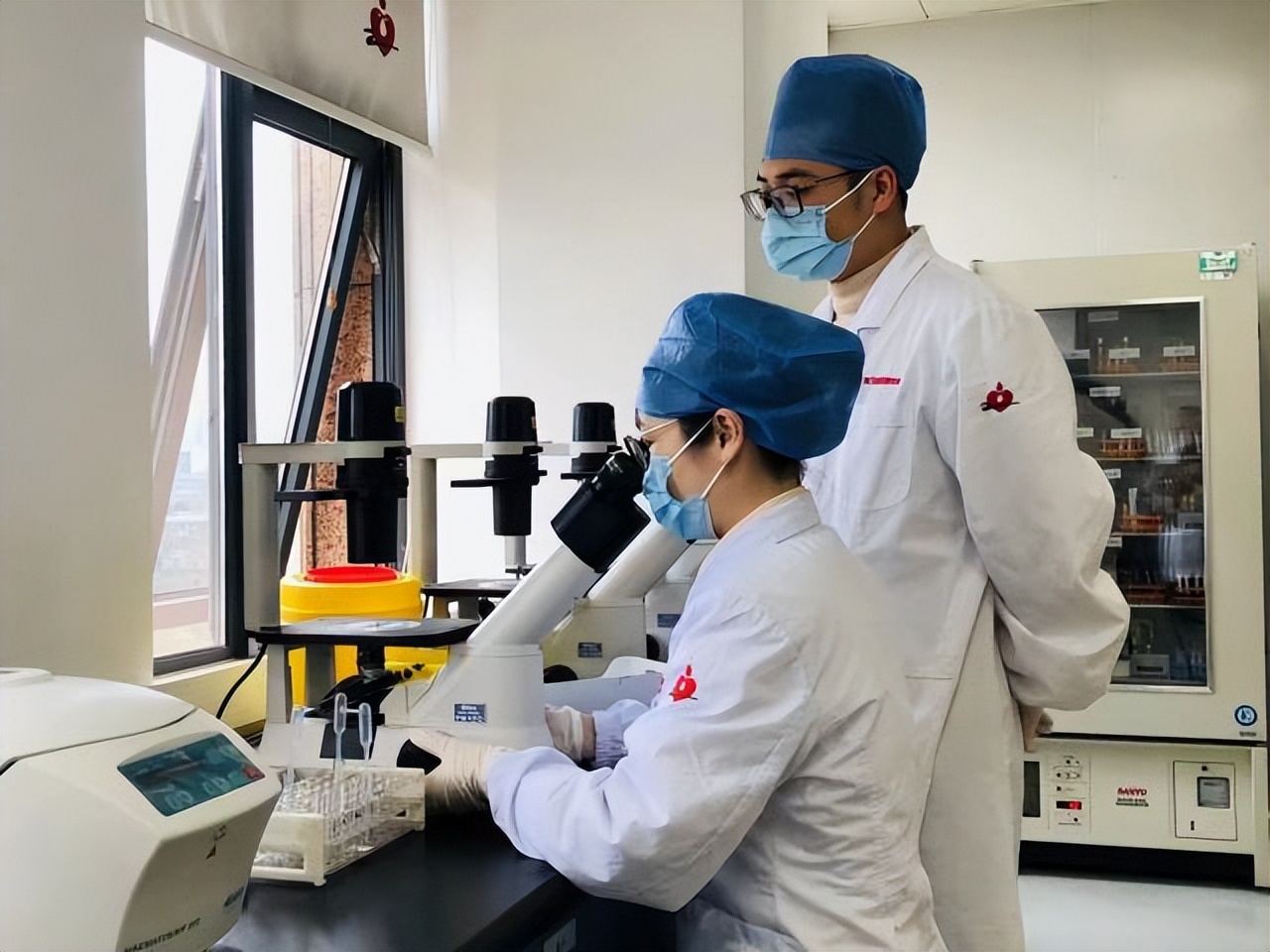 百万分之一的罕见疾病,p型血白血病