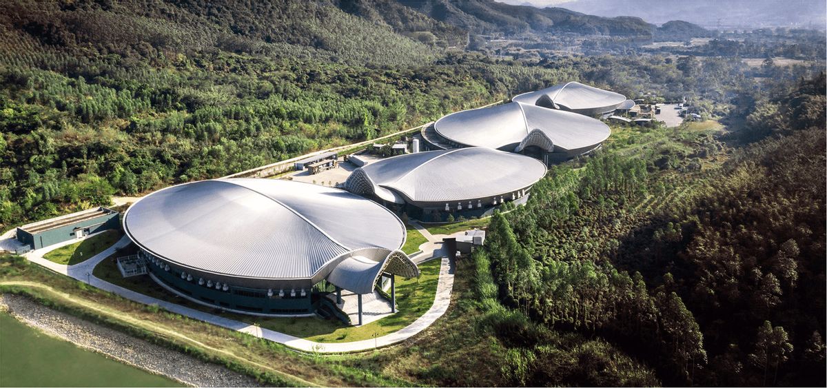 梅西开场81秒破门完整版,梅西开场81秒进球