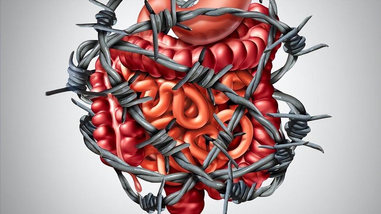 吃完饭就想上厕所是肠胃的问题吗,吃完饭就得上厕所