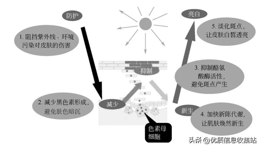 护肤书单爆款,美容化妆品书籍
