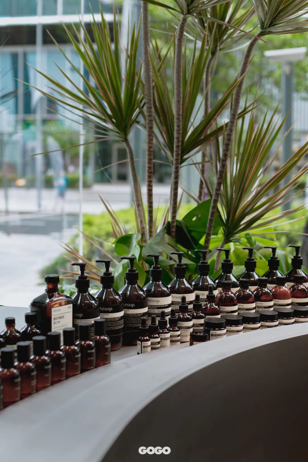 aesop浼婄储logo,aesop浼婄储鏁堟灉