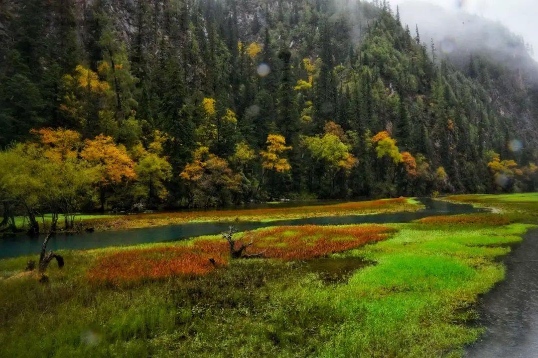 四川不同季节的九寨沟,四川最值得去的九寨沟