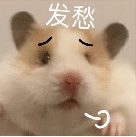 第一次出国的行李箱中，你最后悔从中国带去的东西是？