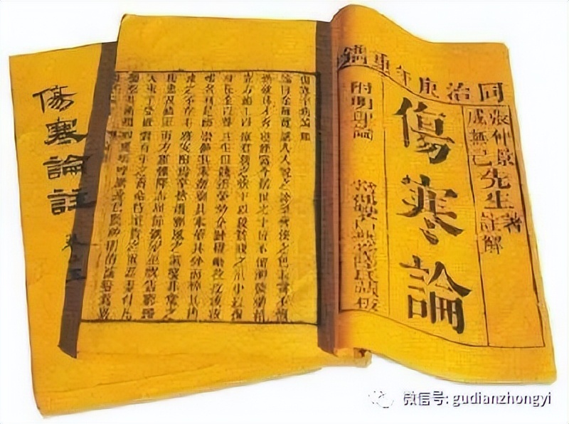 茯苓又叫什么神药,茯苓是哪个地方的地道药材