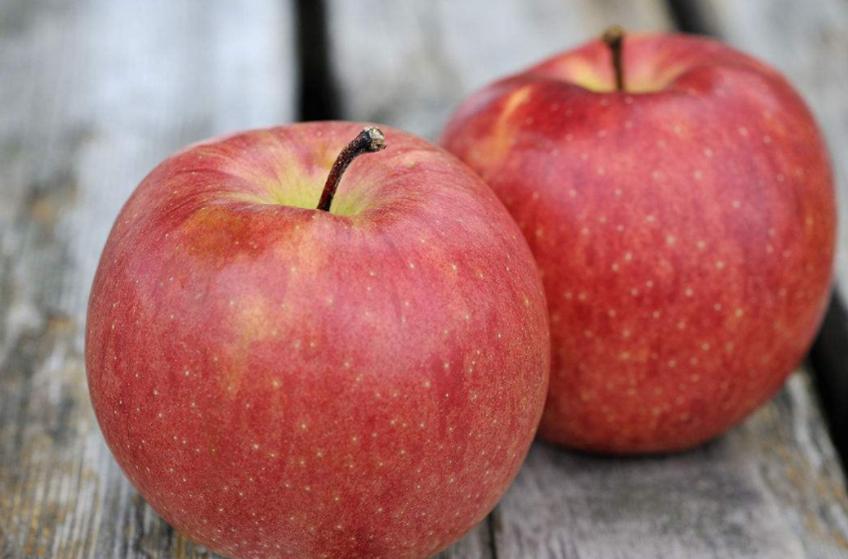 多吃苹果会伤胃吗,经常吃苹果会伤胃吗
