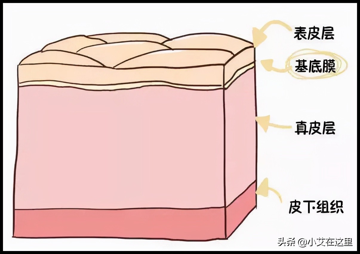 hiv感染风险评估,hiv感染高危因素