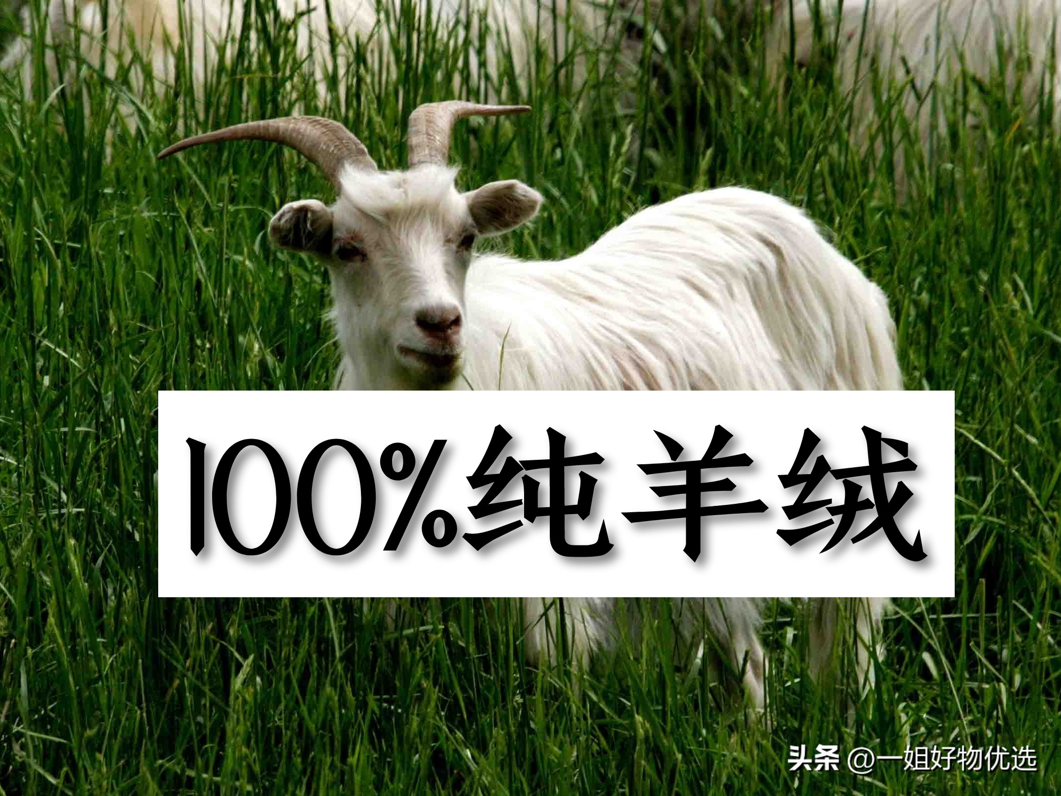 哪个品牌围巾好,哪个品牌羊绒围巾好用