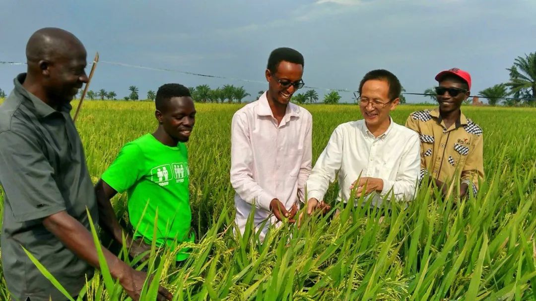 中国对亚非拉国家的帮助,中国与亚非拉