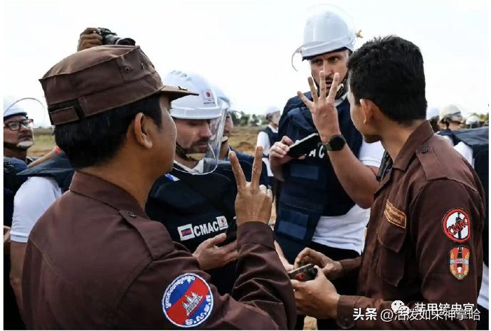 俄乌冲突德国参战最新消息,俄乌战争德国最新消息