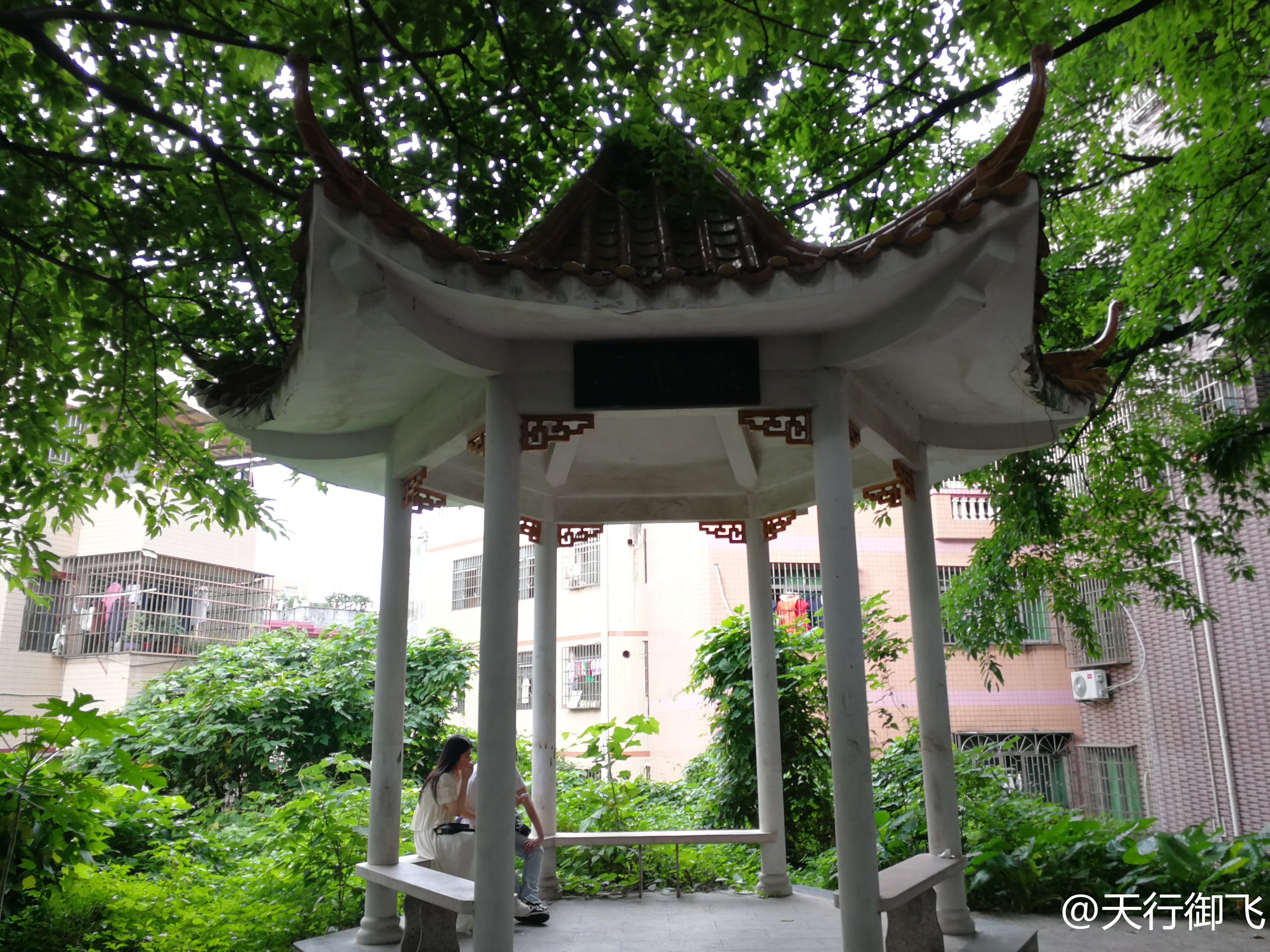 小洲村旅游景点地图,小洲村一日游最佳攻略