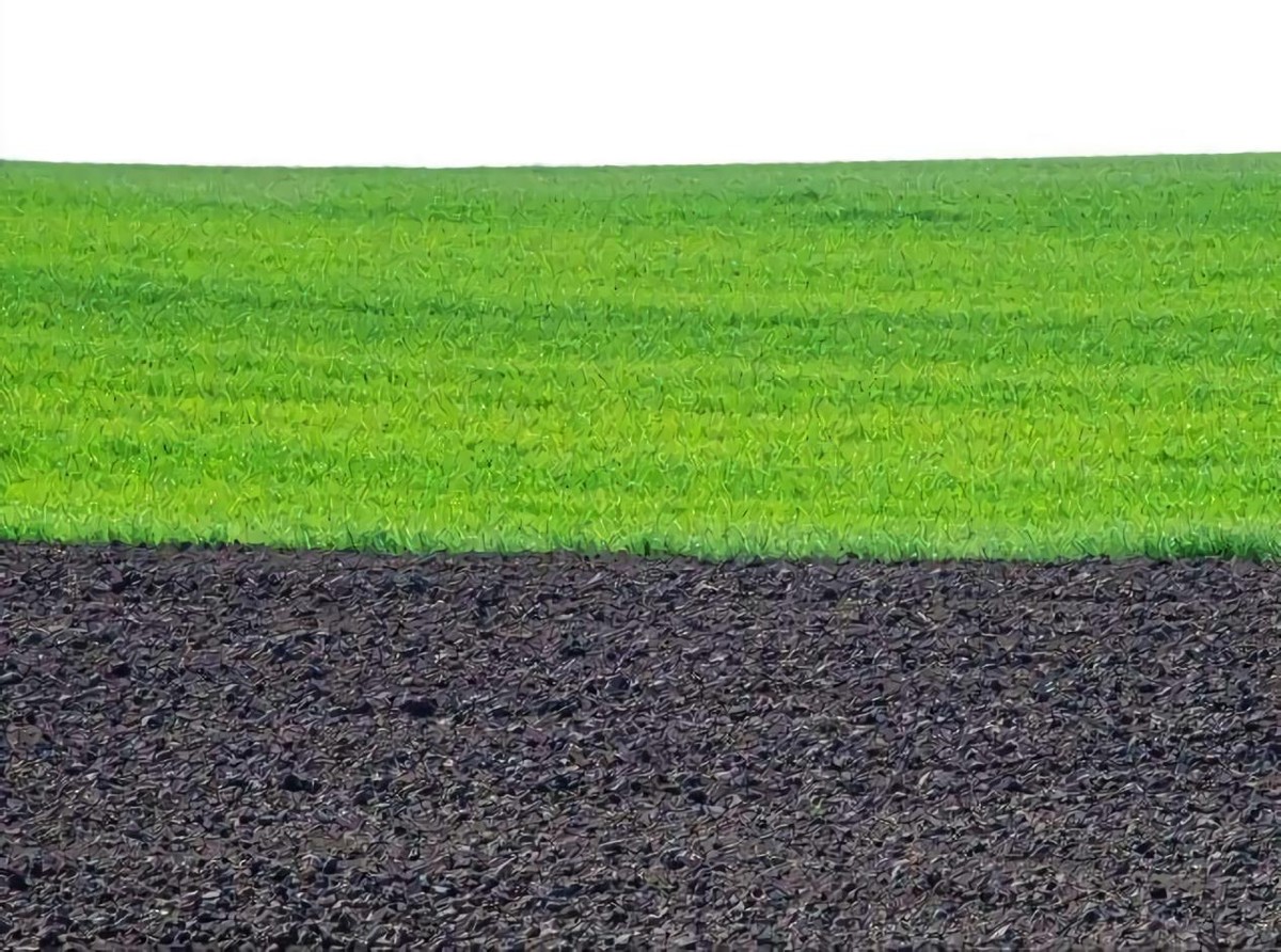 黑土为什么被称为土地中的大熊猫,野生大熊猫值钱吗