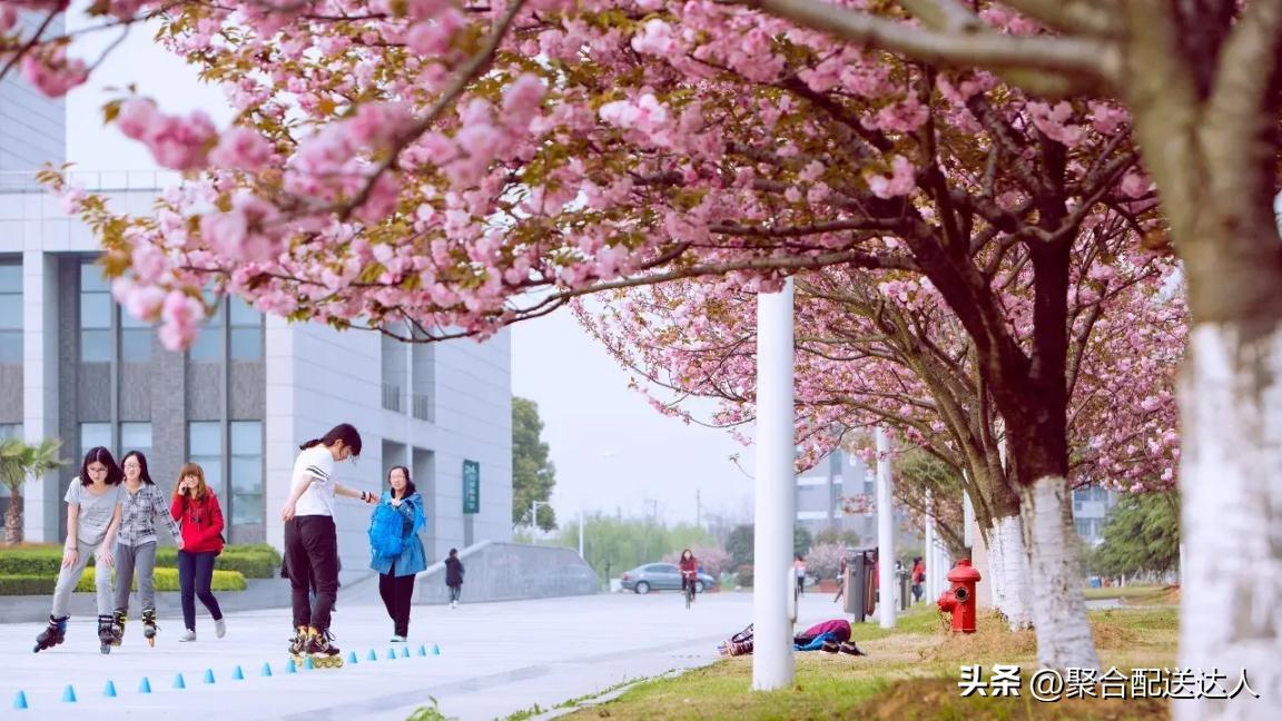 校园跑腿经济运营模式,入驻课堂推广赚钱