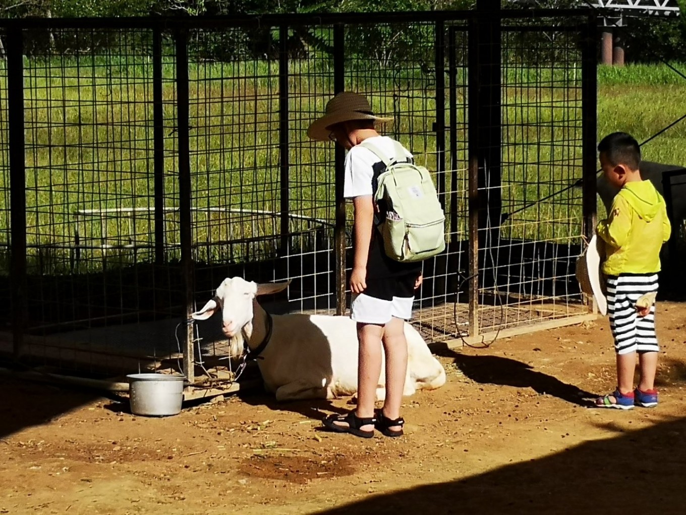 暑期档2019年,2019年暑期档