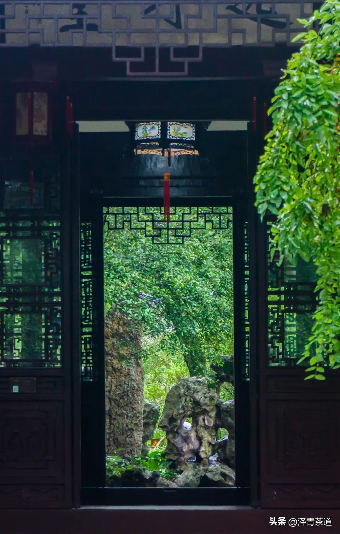 夏至蝉始鸣半夏生全文,夏至蝉始鸣半夏生什么意思