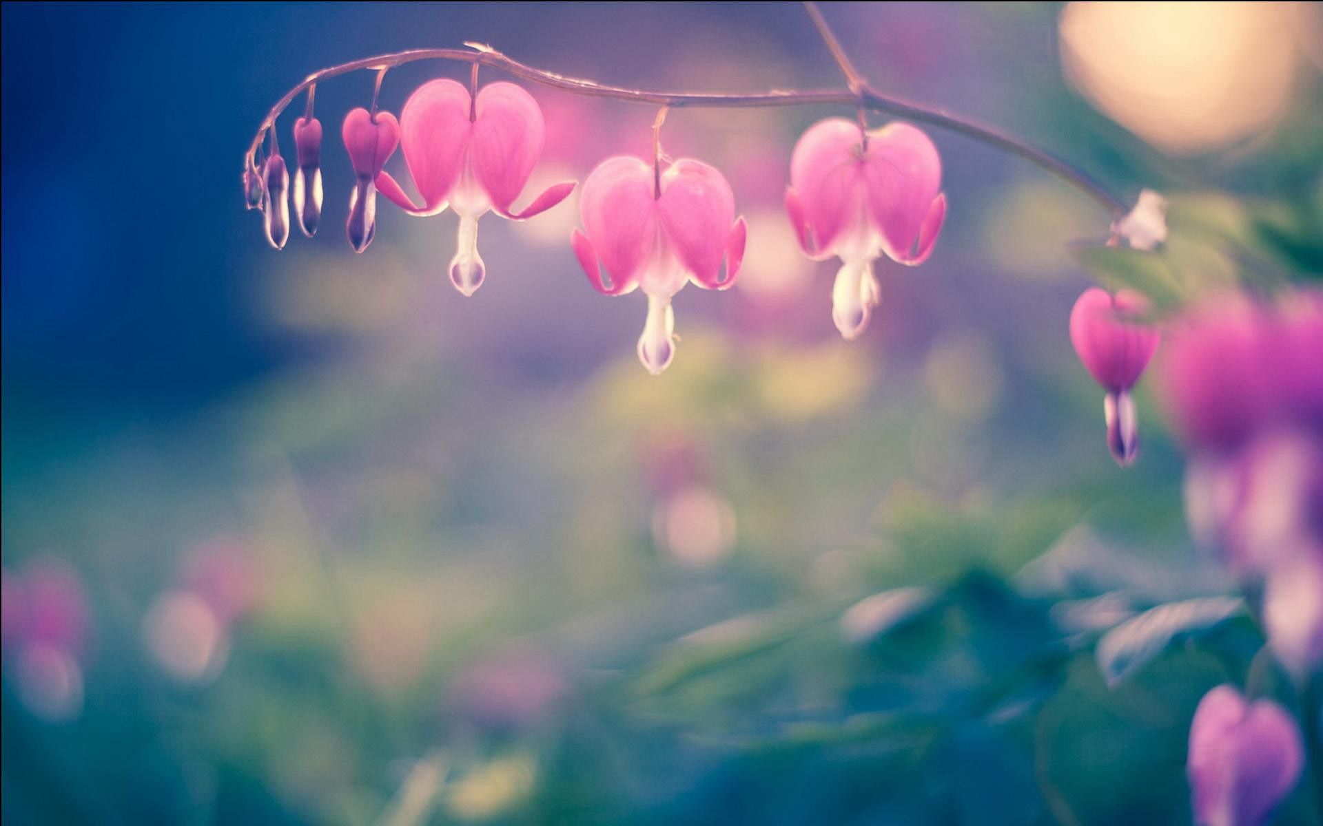 女人不主动联系说明她不爱你了,女人从来不主动联系你说明不喜欢