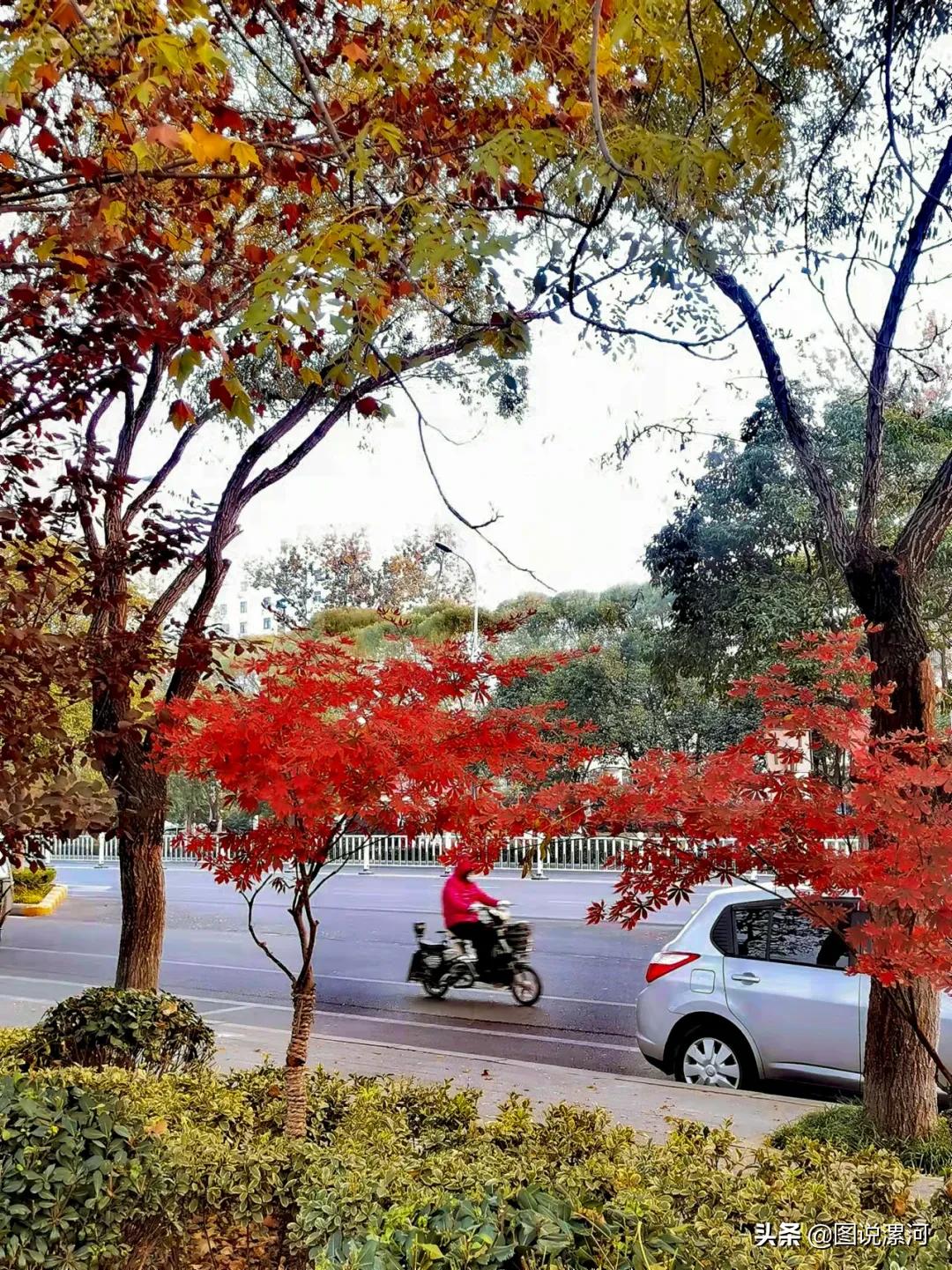 获奖摄影比赛作品,摄影比赛获奖名单公示