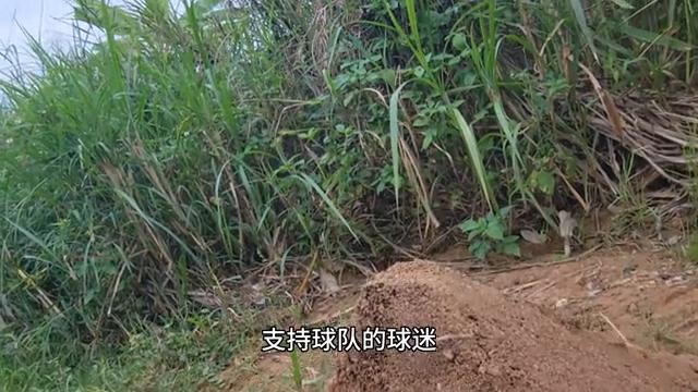 埃及金字塔是用浮力建造的,埃及金字塔是混凝土做的吗