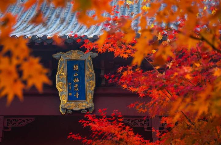 50个必去景点排行榜南京夫子庙,南京除了夫子庙还有什么旅游景点