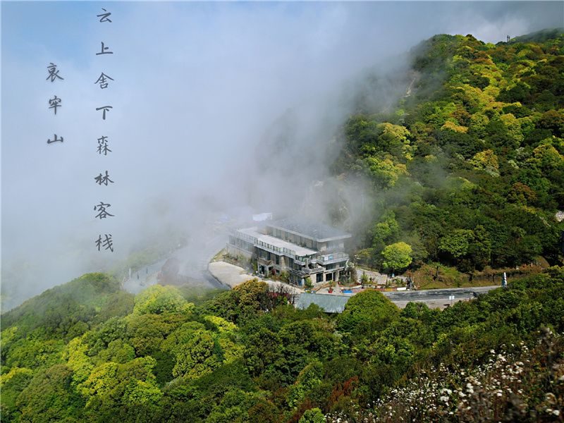 浜戝闆北瑙傛櫙绮惧搧瀹㈡爤,浜戝姘戝