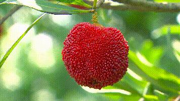 浙江台州：一座仙气飘飘的小县城，中国最接近“天堂”的地方