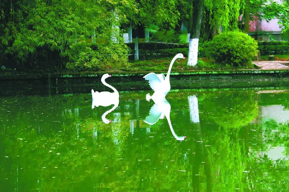 西南石油大学的校训与精神,实力突出双一流西南石油大学