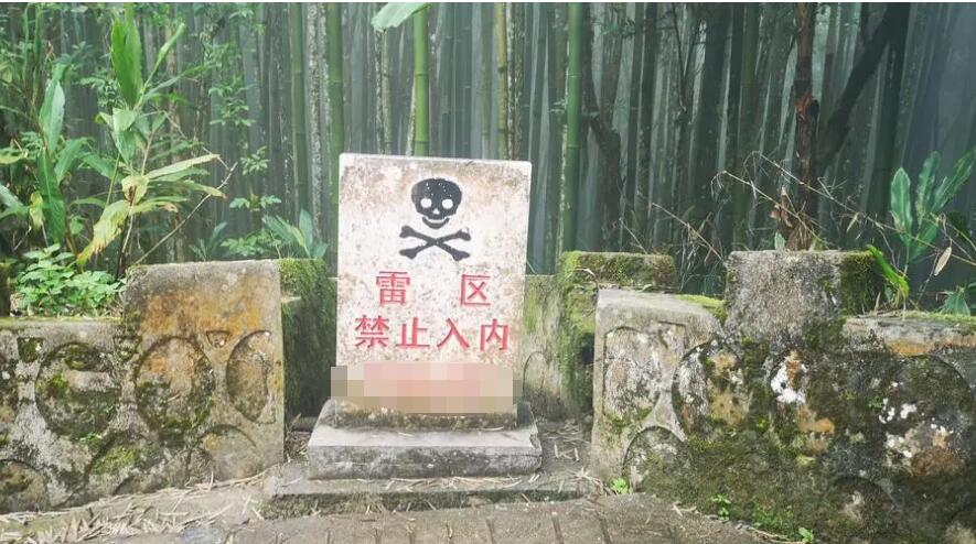 在新加坡帮中国富商“代购”赚上百万，结果被送进“号子”