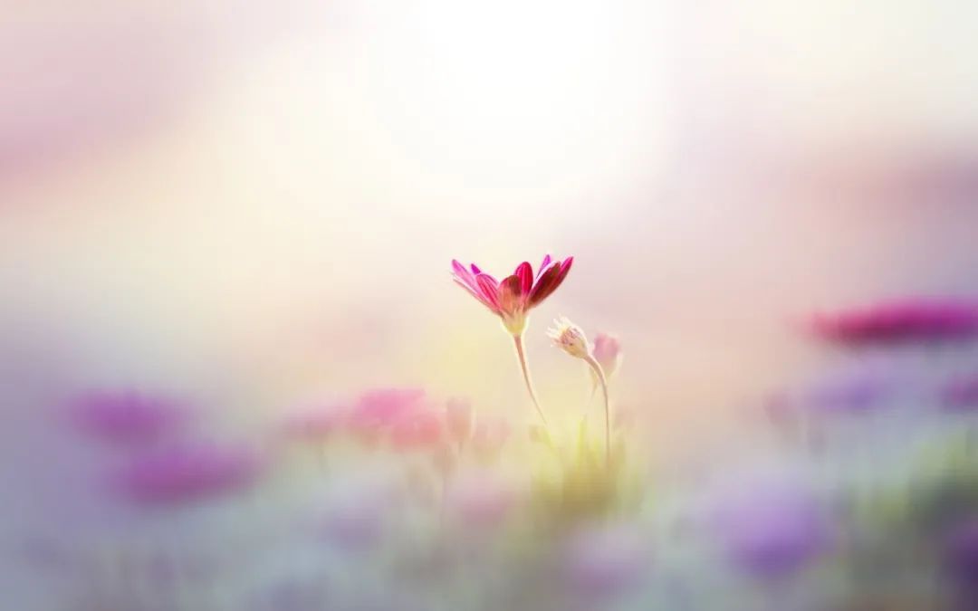 手把手教你开启自媒体赚钱之路,自媒体从零开始怎么赚钱