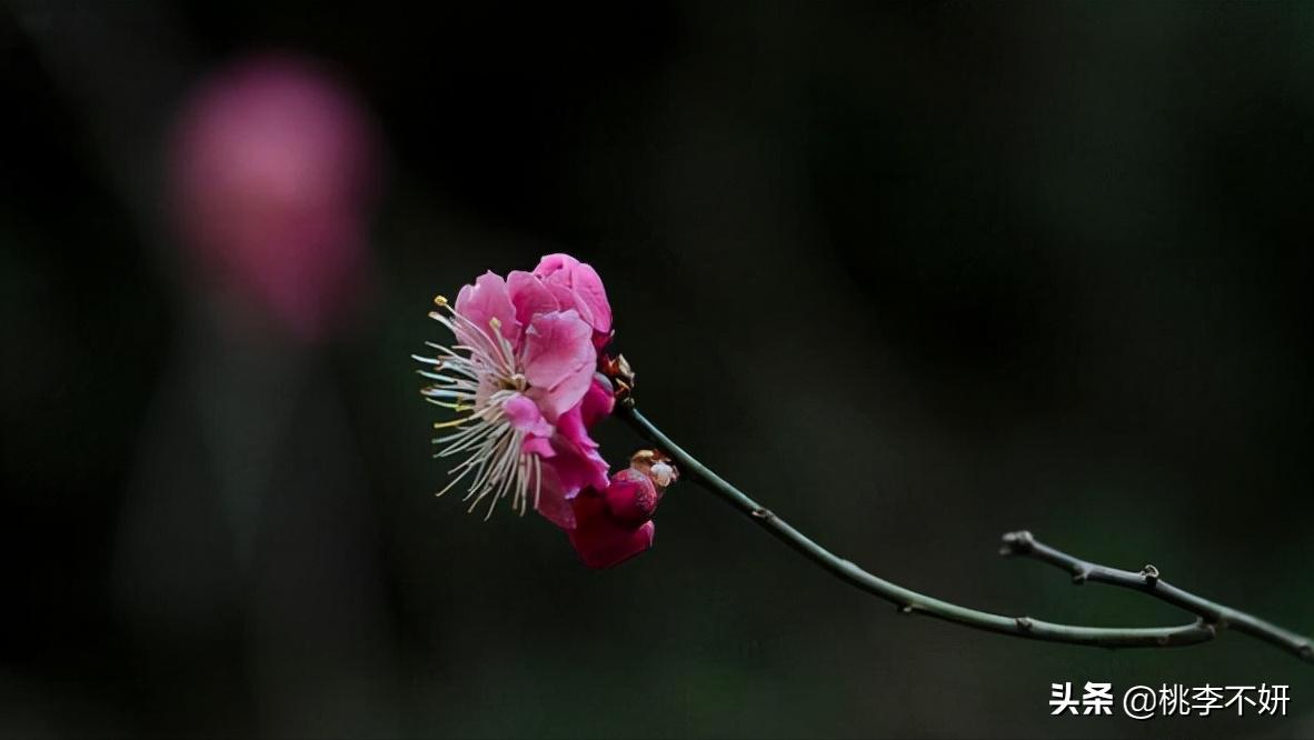 愿余生温柔以待不负相遇不负你,余生不负韶华不负相遇不负初心