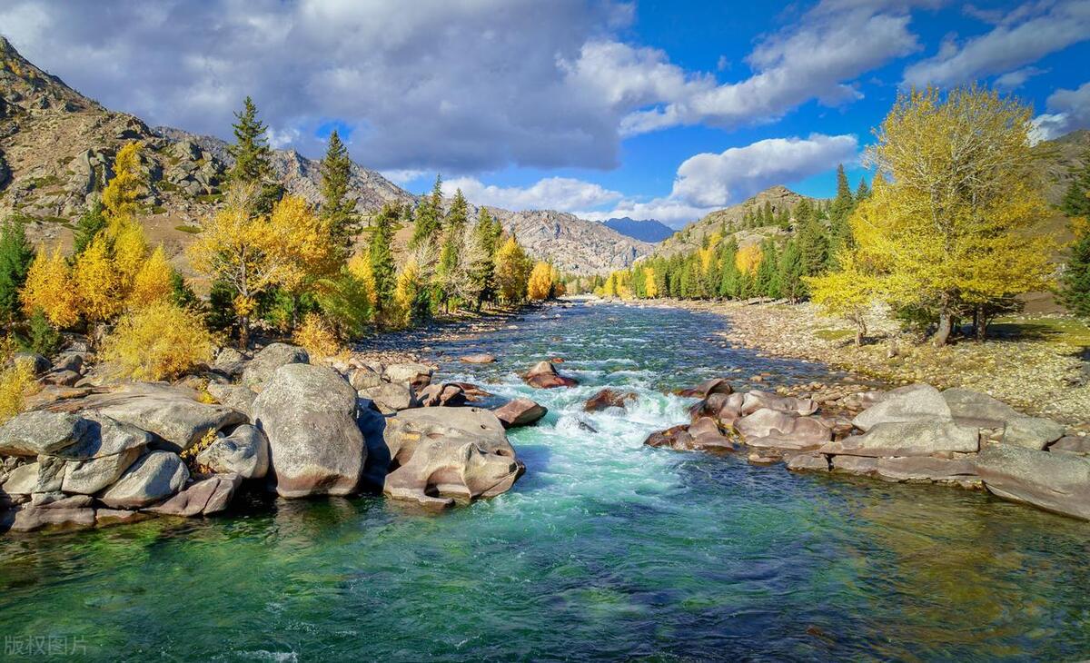 政务协同办公软件：专门为政府机构设计的软件