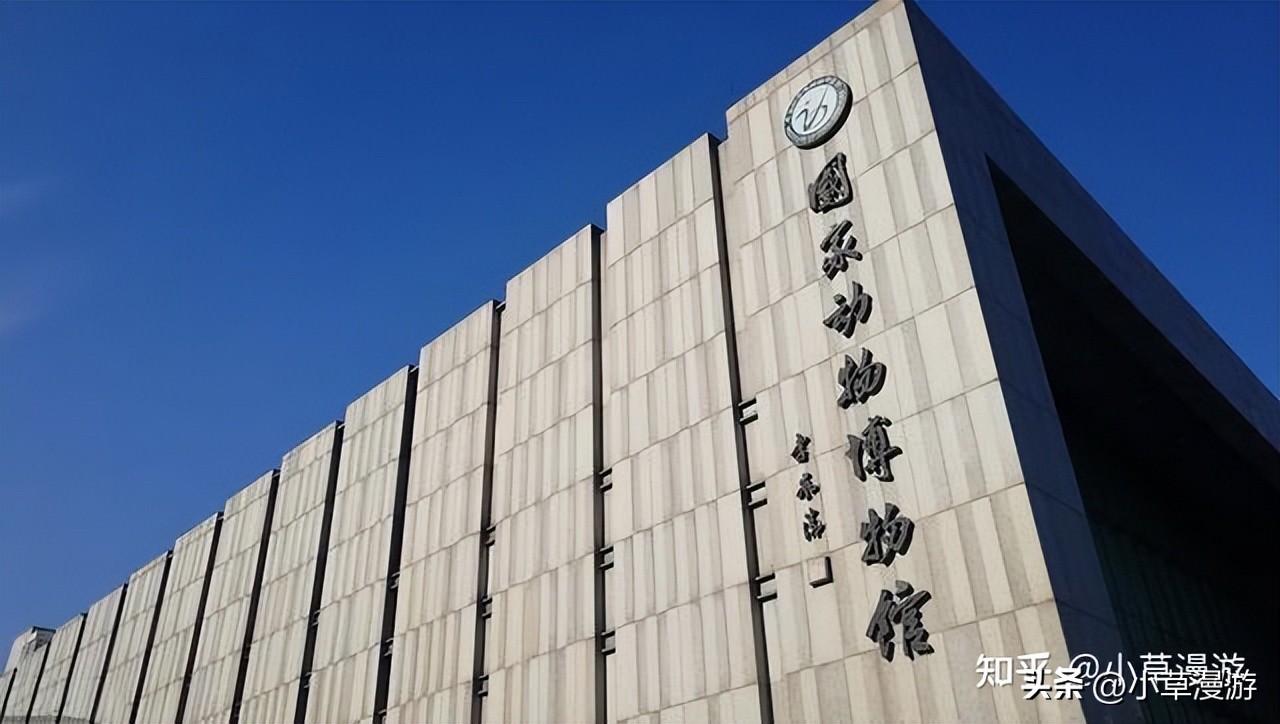 杭州最冷门的博物馆,国内几个必去的博物馆排名