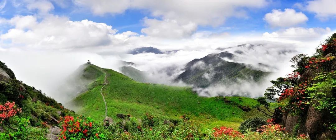 盘点影视的名场面瞬间,都市名场面