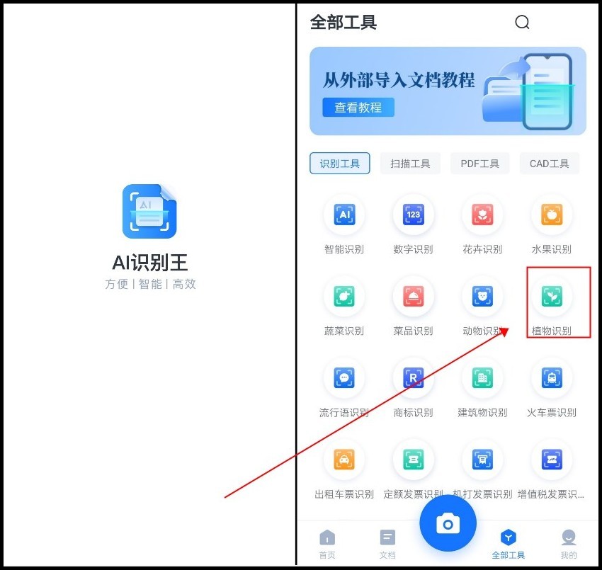 识物扫一扫识别花草,扫一扫识别花草方法