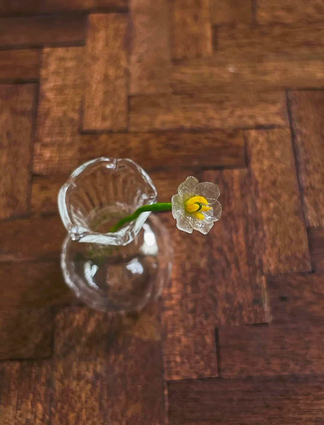 DIY树脂黏土丨通透有质感，仿真还轻薄，它的魅力远超你的想象