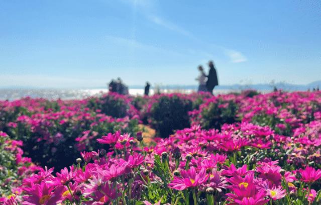 昆明的雨季朗读,昆明的雨季是几月份到几月份结束
